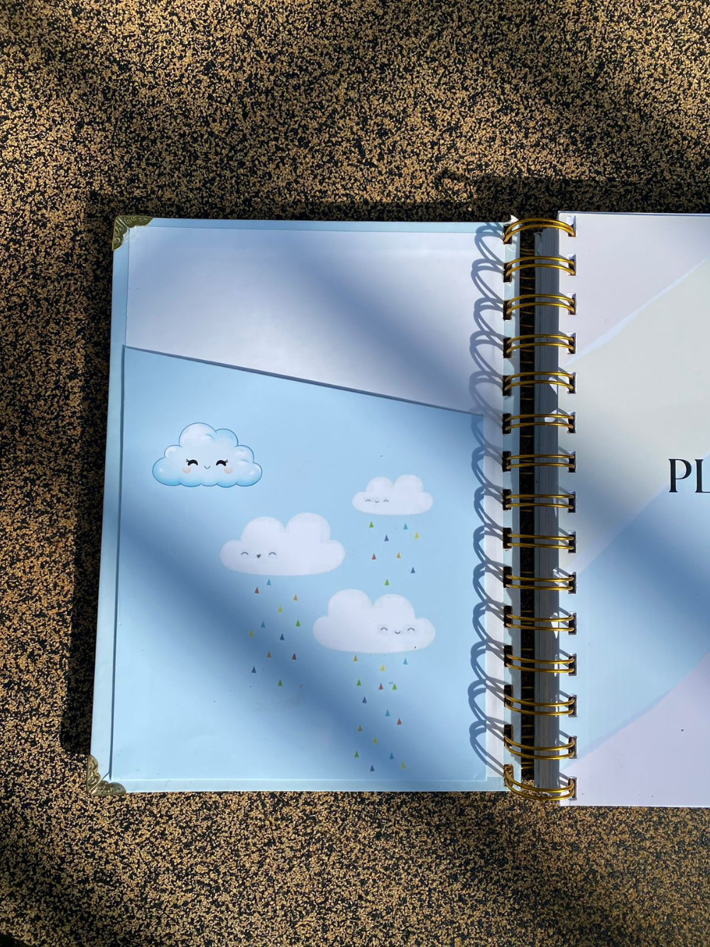 Pastel Undated Calendar Weekly Planner with Password, Trackers and Notes
